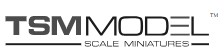 Logo TSM MODEL