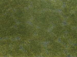 Foliage de couleur vert foncé 12x18 cm