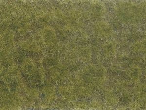 Foliage de couleur vert , brun 12x18 cm