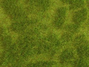NOC07470 - Tapis 25x25 cm - prairie luxuriante
