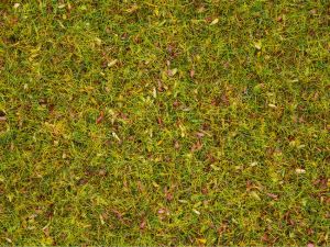 120g de flocage 2.5mm en pot