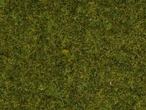 Sachet de 20g d'Herbes de pré - 1.5mm