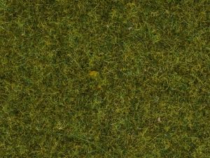 NOC08361 - Sachet de 20g d'herbes pré - 4mm