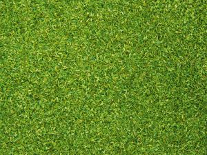 NOC08371 - Pot 200g de Matière à floquer couleur vert claire