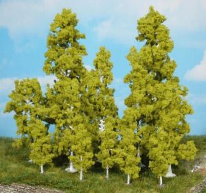 HEK1136 - 3 arbres de 13 cm – Bouleaux