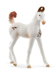 SHL14896 - Figurine de l'univers Horse Club - Poulain Marwari