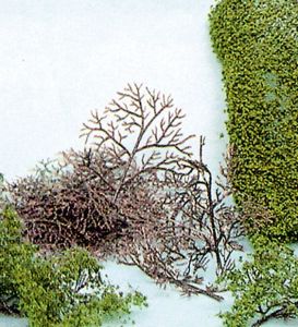 HEK1530 - Décor pour diorama - 15 Buissons de 2 à 6cm