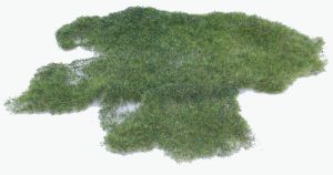 HEK1573 - Décor pour diorama - 28x14cm - Herbe sauvage réaliste marais