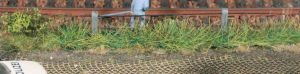 HEK1817 - Décor pour diorama - 8 Bandes d'herbe 10mm - été