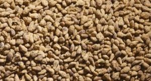 JUW23092 - Accessoire miniature – 150 grs de betteraves