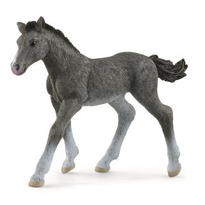 SHL13944 - Figurine SCHELICH - Poulain Trakehnen