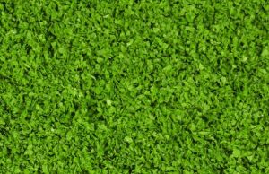 HEK15151 - 200 ml de feuillage vert moyen