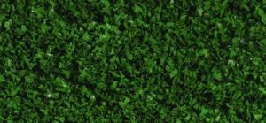 200 ml de feuillage vert printemps
