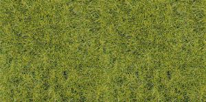 Paquet d'herbe sauvage vert de terrain boisé 5-6mm de 75g