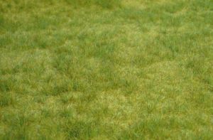 Tapis d'herbes sauvage du printemps 45 x 17 cm