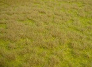 Tapis 45x17cm d'herbes sauvages de savane