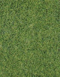 HEK1870 - Tapis 40x24cm d'herbes sauvages vert de prairie