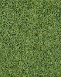 HEK1870 - Tapis 40x24cm d'herbes sauvages vert de prairie