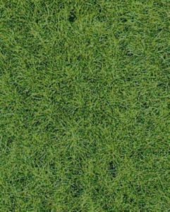 HEK1871 - Tapis 40x24cm d'herbes sauvages terrain boisé