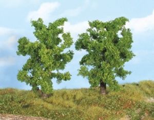 HEK19101 - 2 Arbres de 14 cm – Poiriers