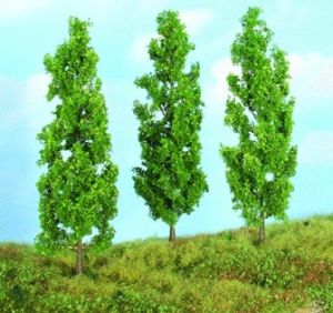 3 Arbres de 18 cm – Peupliers