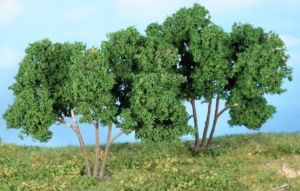 HEK19112 - 3 Arbres de 7 cm – Mûriers