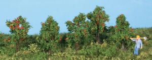 5 Arbres de 4 cm – Pommiers