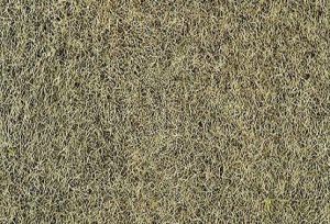 HEK3363 - Flocage d'herbe d'hiver 2-3mm en sachet de 100g