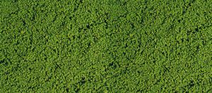 HEK1601 - Mousse de flocage vert moyen 14x28 cm