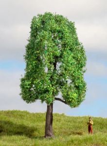 NOC20101 - Arbre de 13cm de hauteur - Frêne