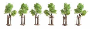 NOC21538 - Lot de 6 jeunes arbres avec tuteurs