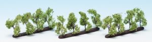 12 Arbres de plantation