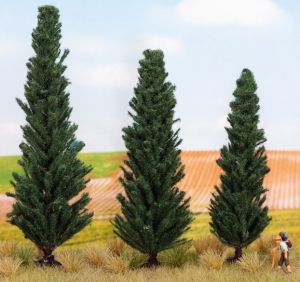 NOC21998 - Arbre de hauteur 10, 11 et 13 cm - Cyprès