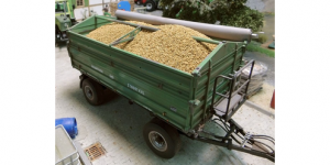 JUW23307 - Sachet de maïs en grain 100g