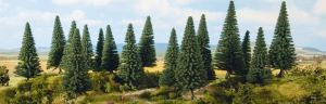 8 Sapins de hauteur 10 à 14 cm