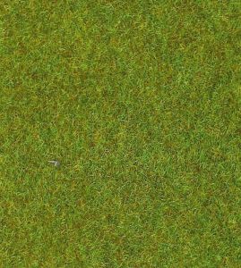 HEK30902 - Tapis de 100x200 cm – Vert clair