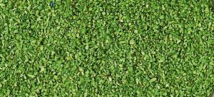 HEK3301 - Décor pour diorama - Matière à floquer 40g couleur vert clair