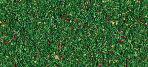 Sachet de 40g de couvre-sol couleur prairie fleurie foncé