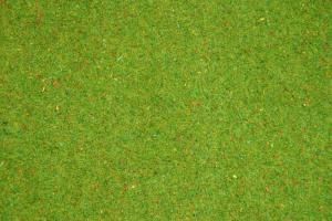 Herbage fleuri en tapis 120x60cm.