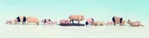 12 cochons avec marre de boue