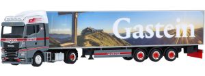 HER954822 - Camion avec remorque frigorifique GASTEIN - MAN TGX GM 4x2