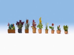 NOC14012 - Ensemble de  fleurs en pots