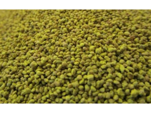 JUW23304 - Sachet de grains de MAIS 100g