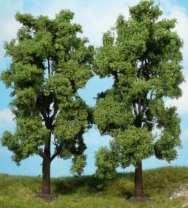 Lot de 2 Frênes 19 cm
