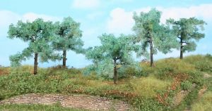 HEK1773 - Lot de 5 arbres de 8 à 10 cm - oliviers