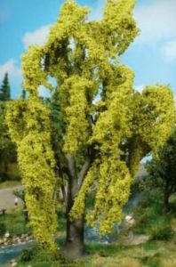 1 saule pleureur de 20cm