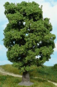 1 chêne de 18cm