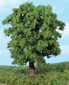 HEK1944 - Arbres hauteur 18 cm - Châtaignier