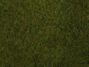 NOC07282 - Foliage d'herbes sauvages de couleur vert foncé - Dimensions : 20 x 23 cm
