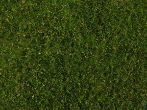 NOC07291 - Foliage de pré de couleur vert moyen - Dimensions : 20 x 23 cm